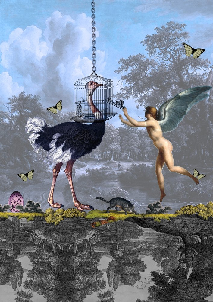 Surrealer Straußenengeltraum von Pascal Bouchet-Spiegel