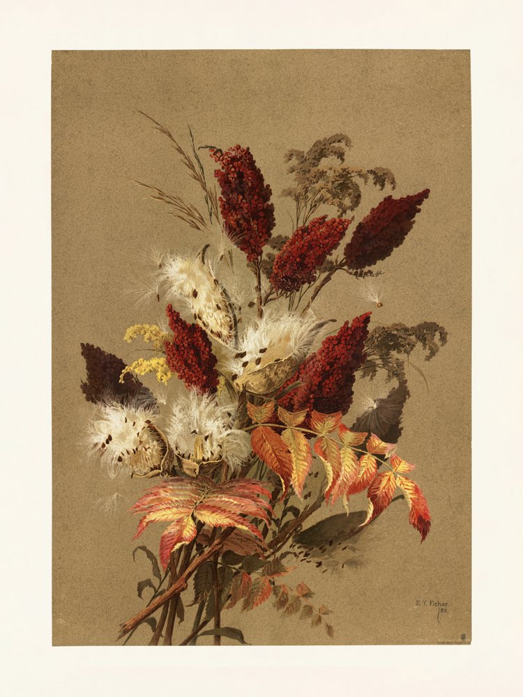 Sumach und Seidenpflanze von Ellen Thayer Fisher von Pictufy