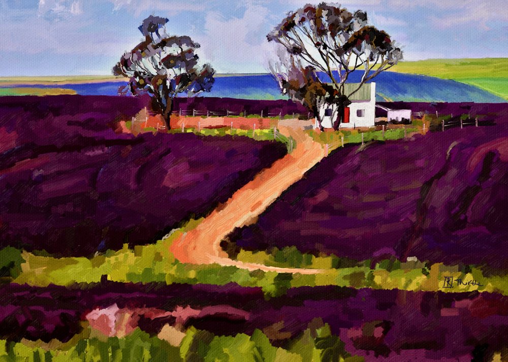 Lila Felder Bauernhaus von Robert Thirtle