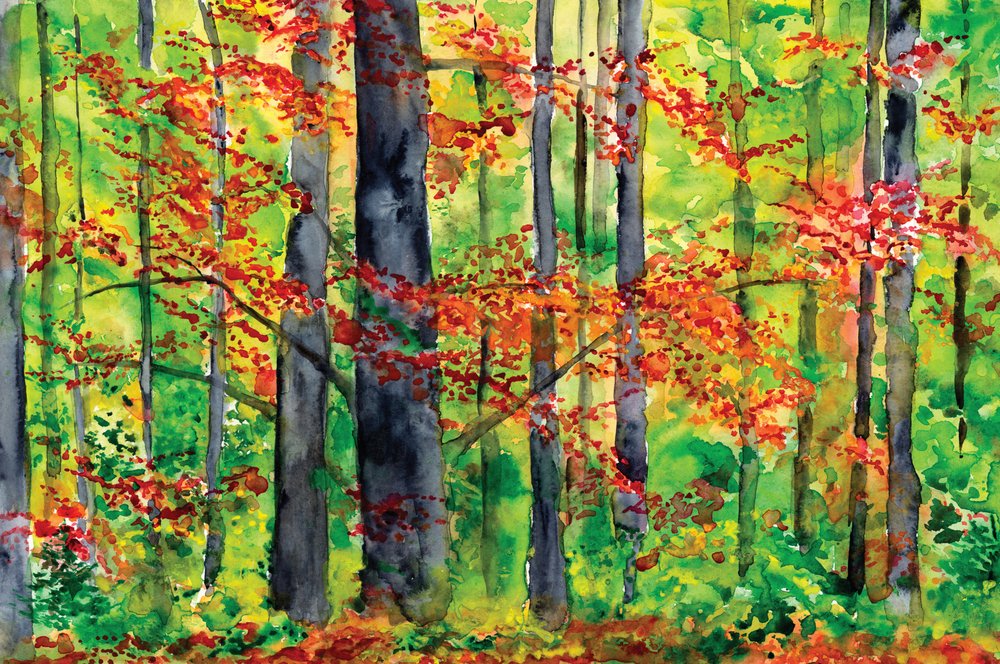 Herbstwaldglühen von RodMacIver