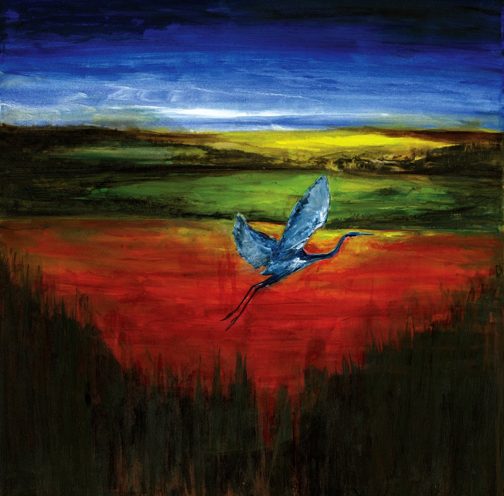 Blauer Reiher im lebendigen Flug von RodMacIver