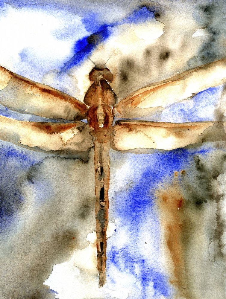 Blaue Aquarell-Libelle von RodMacIver