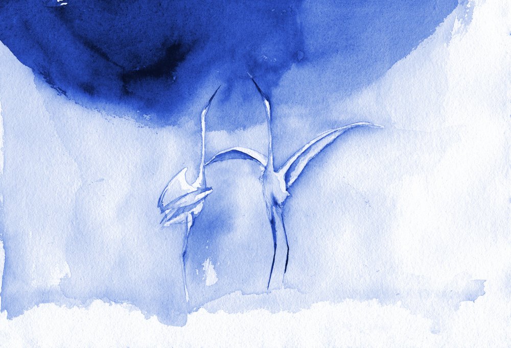 Elegante blaue Kraniche von RodMacIver