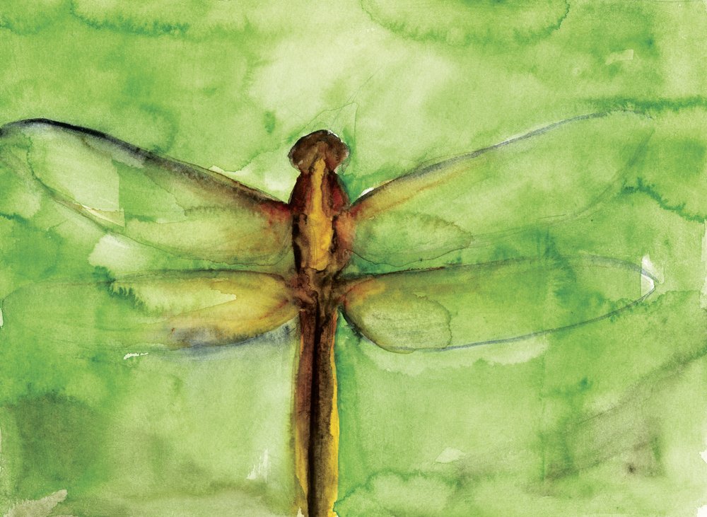 Grüne Libelle Aquarell von RodMacIver