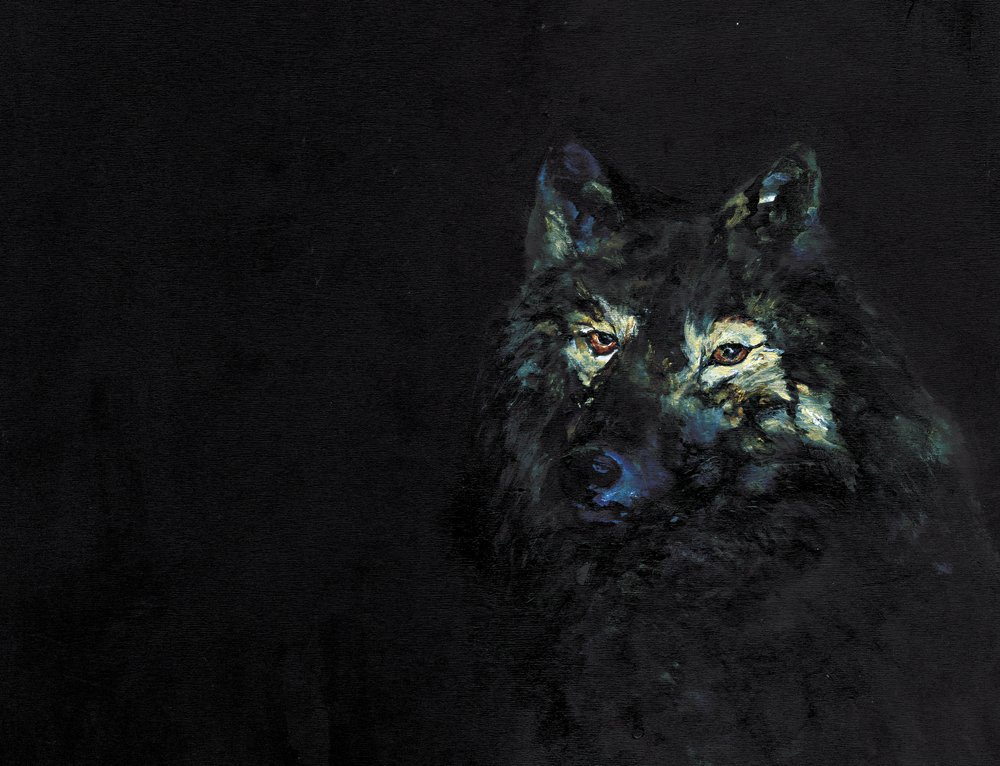 Geheimnisvoller Schwarzer Wolf von RodMacIver