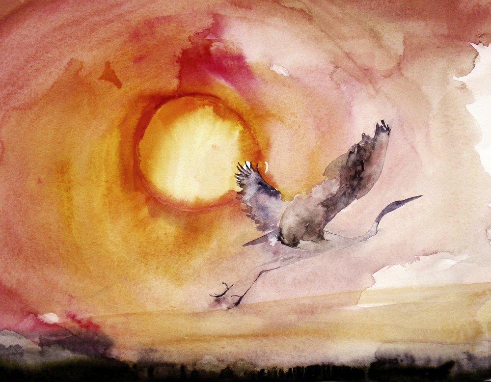 Lebhafter Vogel Sonnenuntergang von RodMacIver
