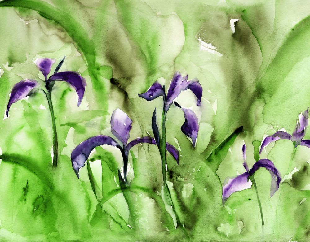 Lebhafter Irisgarten von RodMacIver