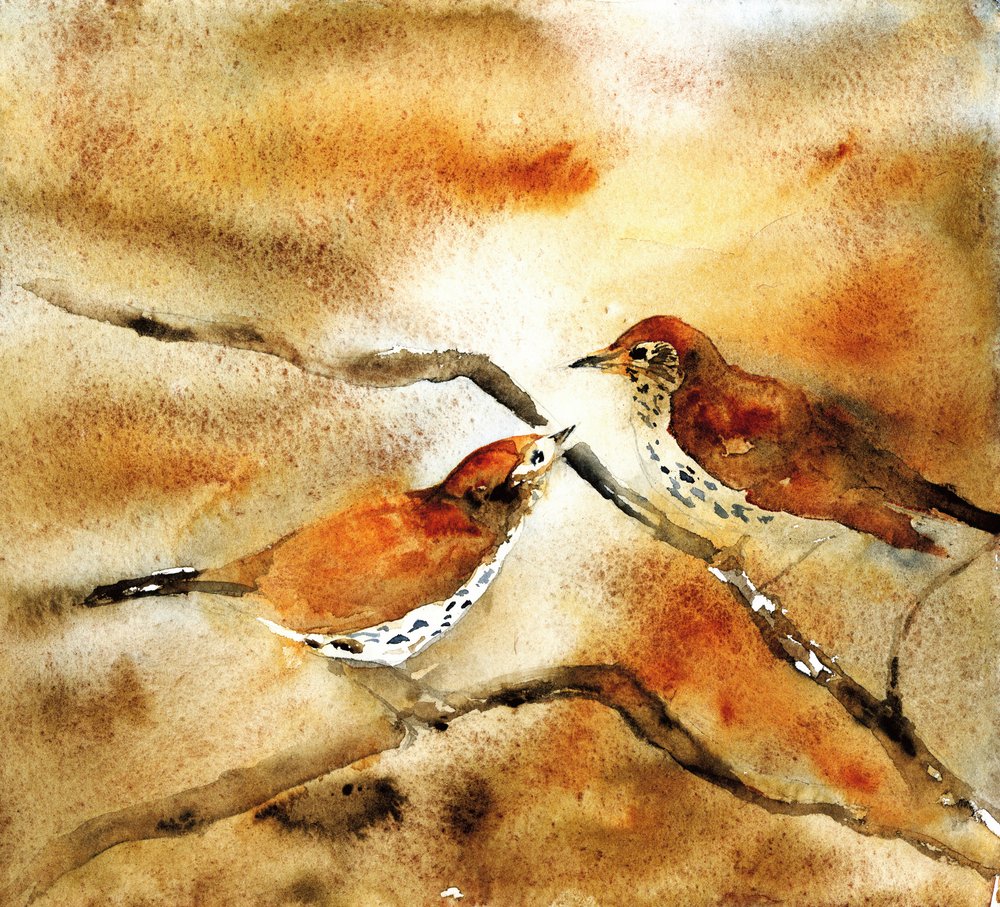 Aquarellvögel auf Zweig von RodMacIver