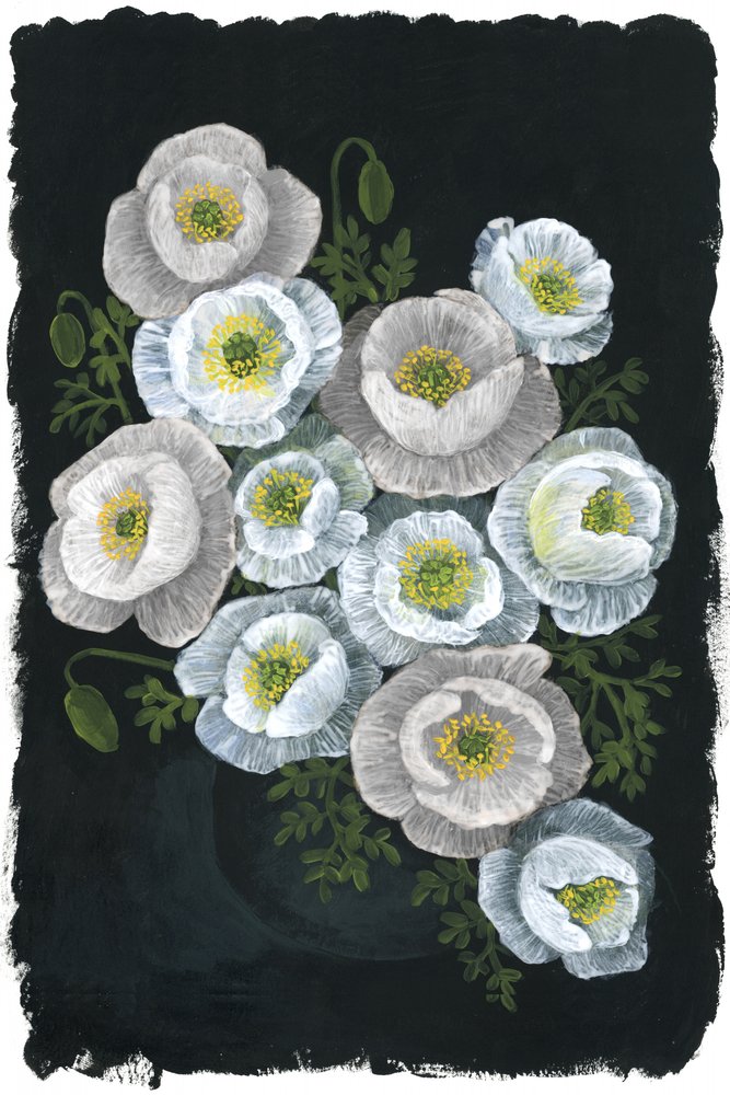 Elegante weiße Mohnblumen von Rosana Laiz Blursbyai