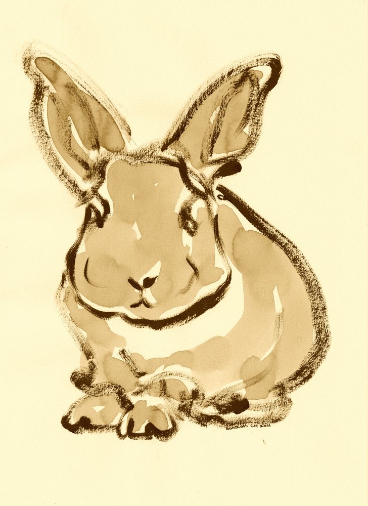 Sanfte Hasenskizze von Santhosh ch