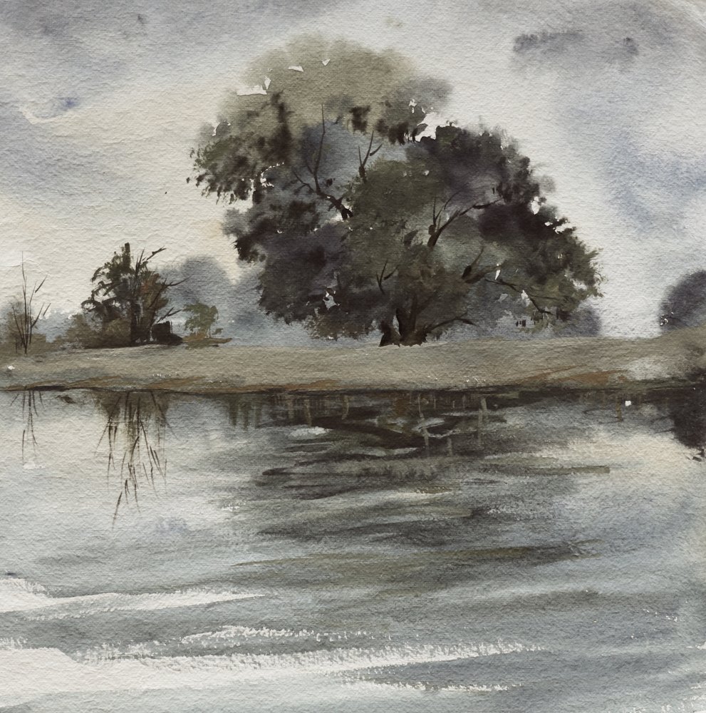 Neblige Baumreflexionen von Santhosh ch