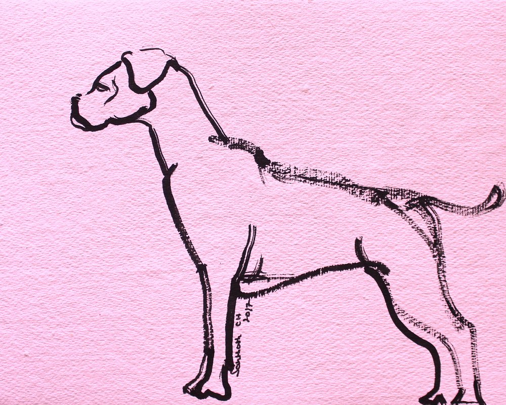 Rosa Boxer Linienkunst von Santhosh ch