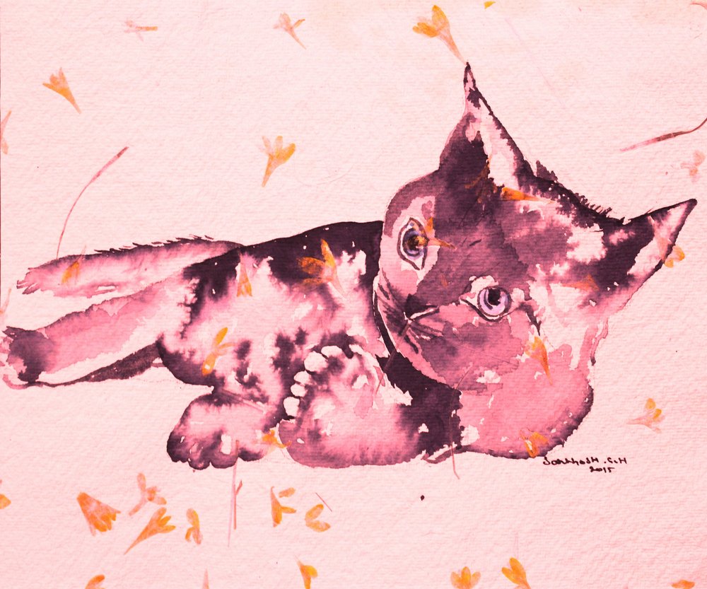 Verspieltes rosa Kätzchen von Santhosh ch