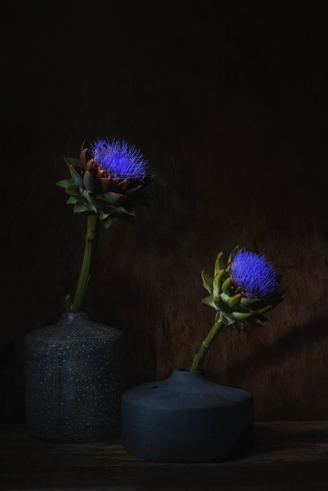 Dunkle Artischockenblüten von Saskia Dingemans