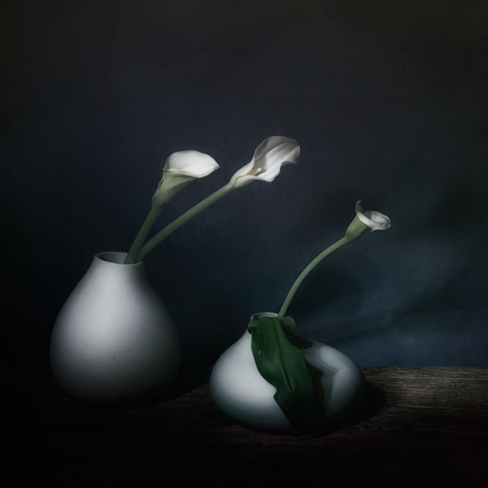 Stimmungsvolle Calla-Blüten von Saskia Dingemans