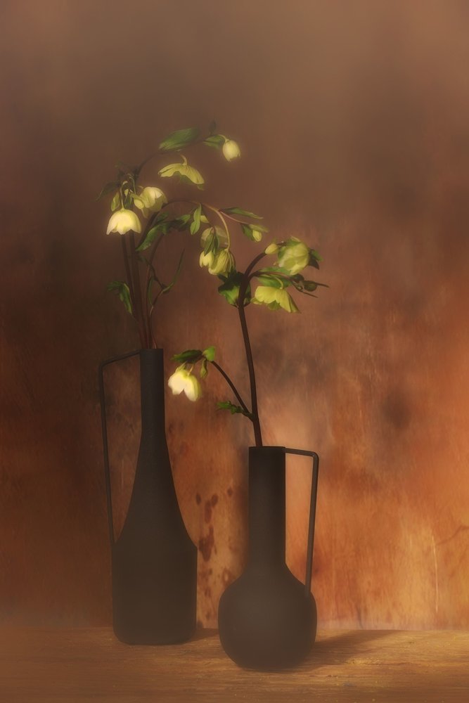 Ruhige Blumeneleganz von Saskia Dingemans