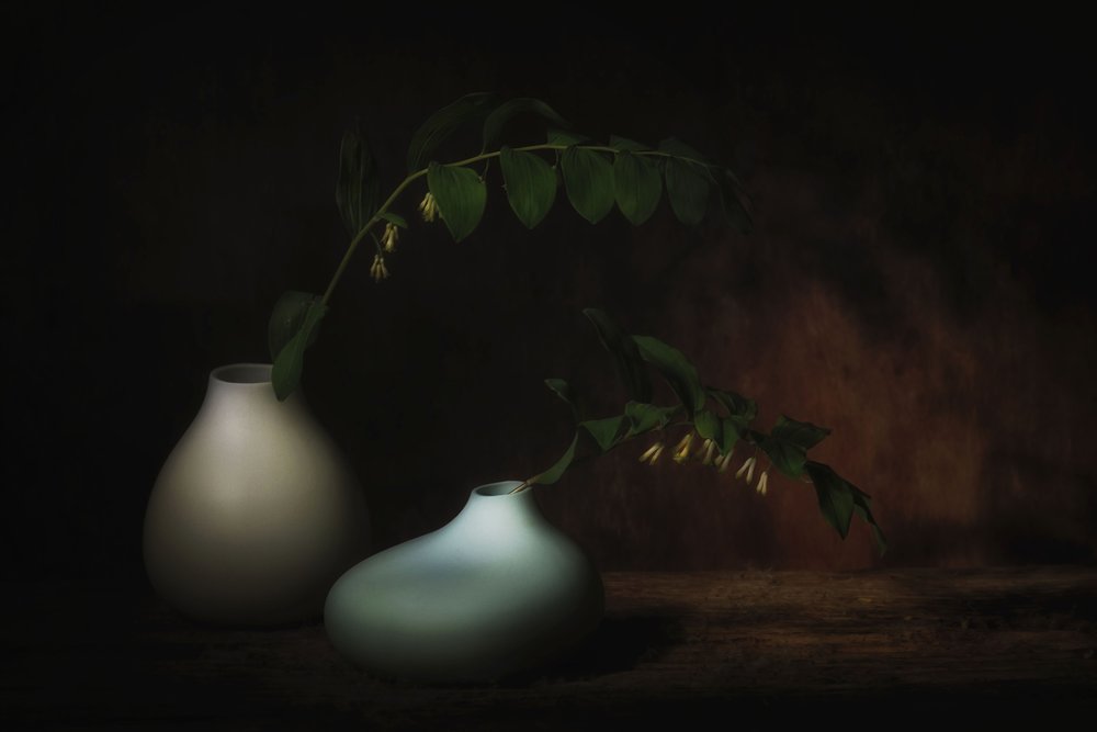 Gelassenes Botanisches Stillleben von Saskia Dingemans