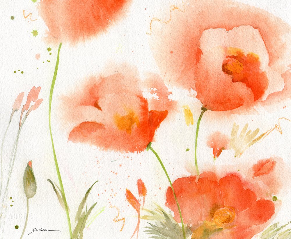 Sanfte Korallenmohnblumen von Sheila Golden