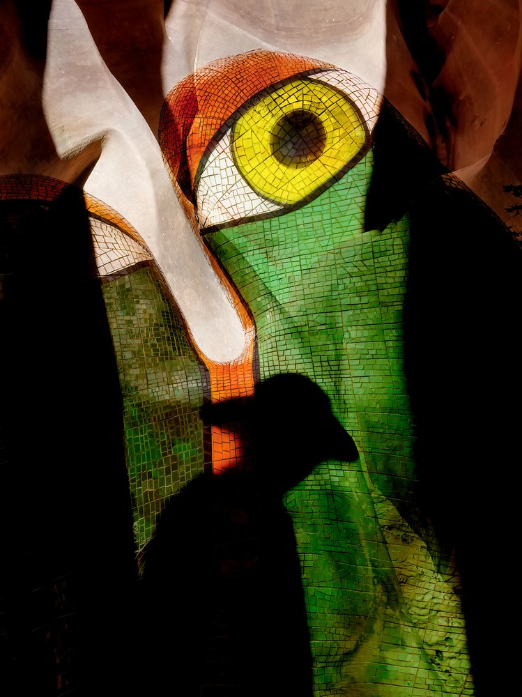 Mosaikauge und Schatten von Shenshen Dou