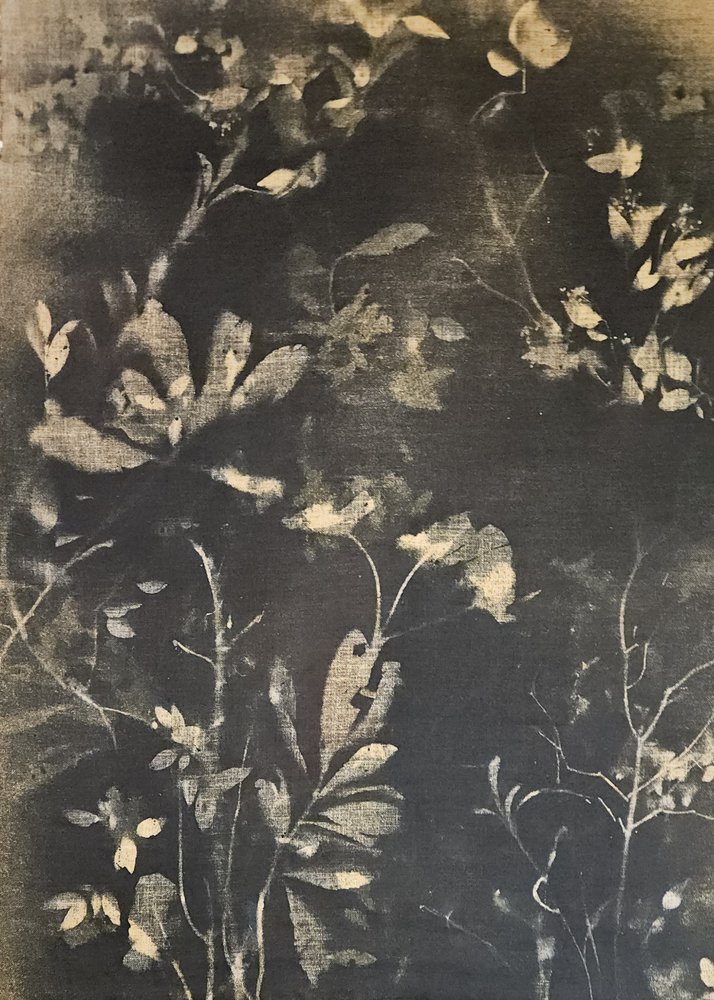 Dunkle Botanische Studie von Stefano Mazzolini