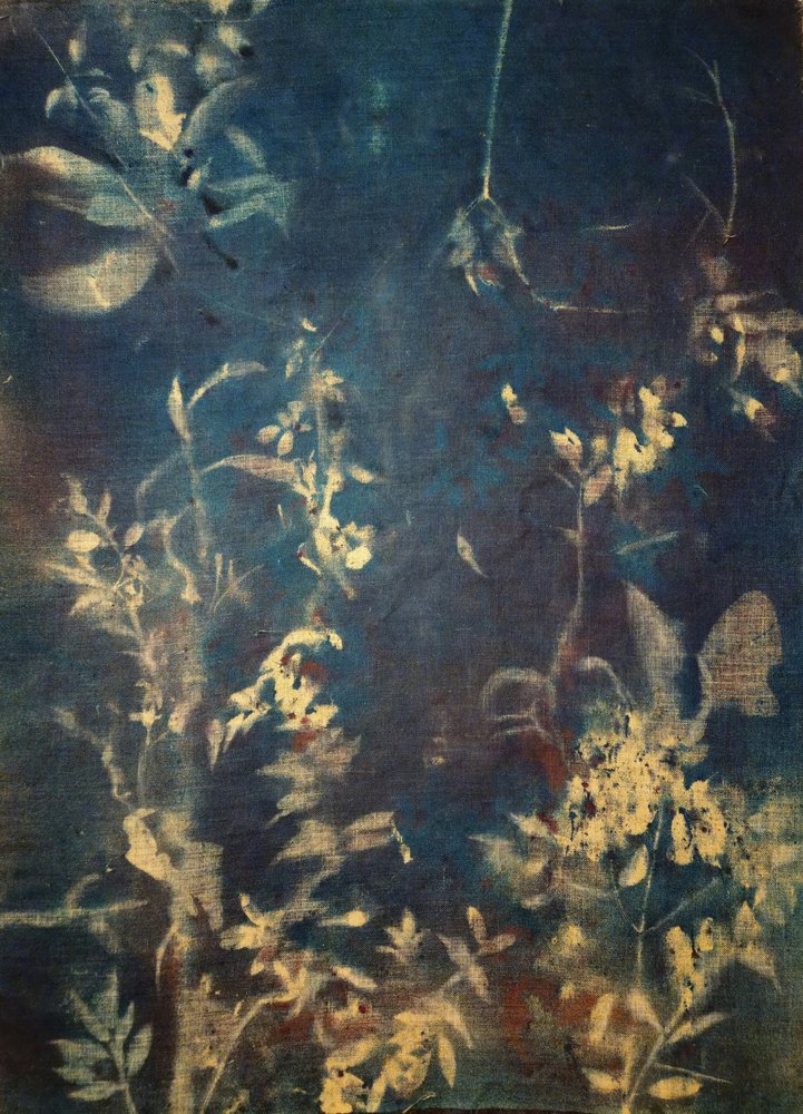 Ätherische Blaue Botanicals von Stefano Mazzolini