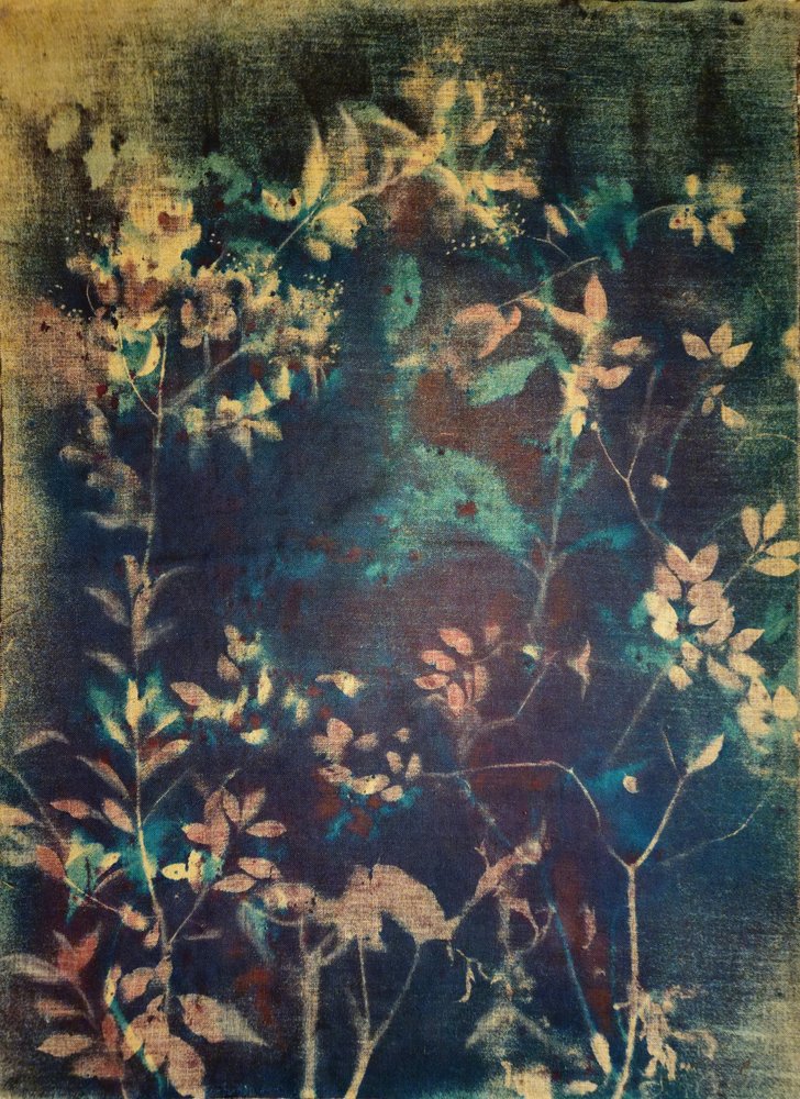 Ätherische Blaue Botanicals von Stefano Mazzolini