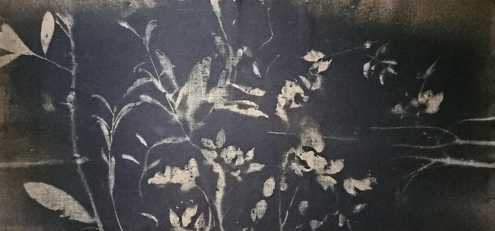 Blüte im Schattengarten von Stefano Mazzolini
