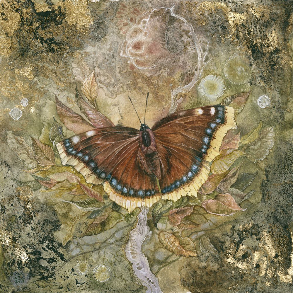 Ätherische Schmetterlingsflügel von Stephanie Law