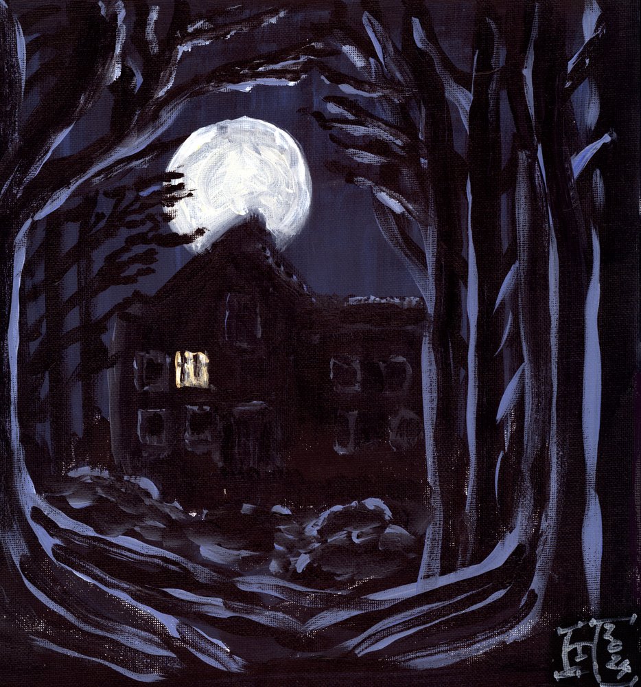 Mondbeschienene Geisterhaus von Tim Hoinkis