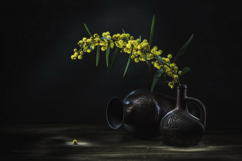 Gelbe Mimose Stillleben von Vadim Kulinsky