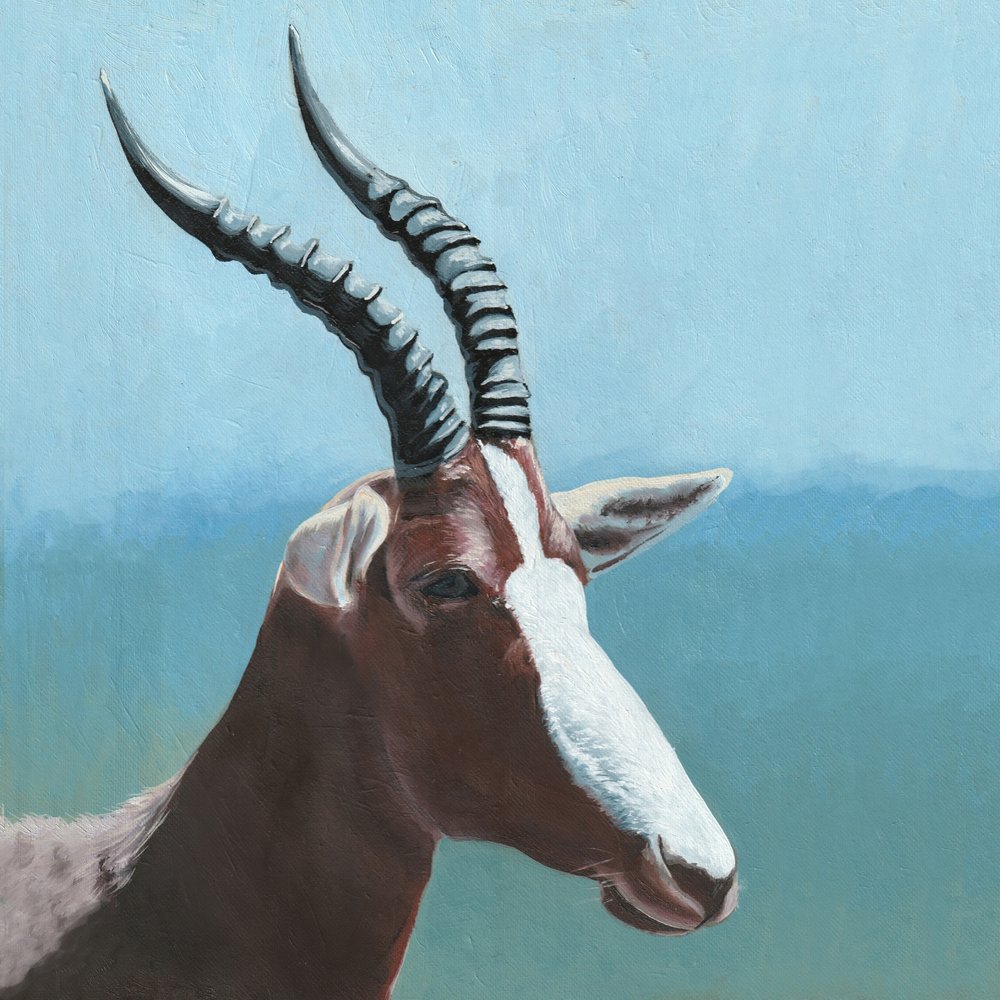Afrikanisches Blesbok-Porträt von Viccy Wanliss