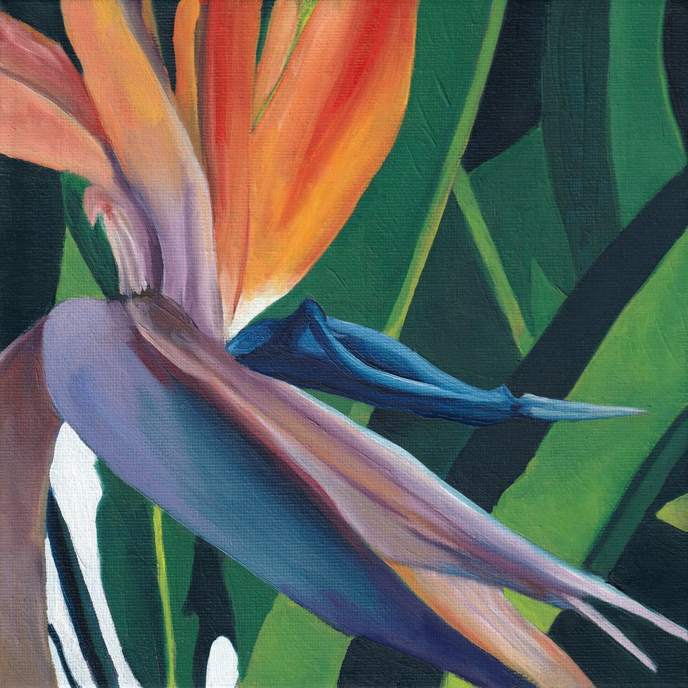 Lebendiger Paradiesvogel von Viccy Wanliss