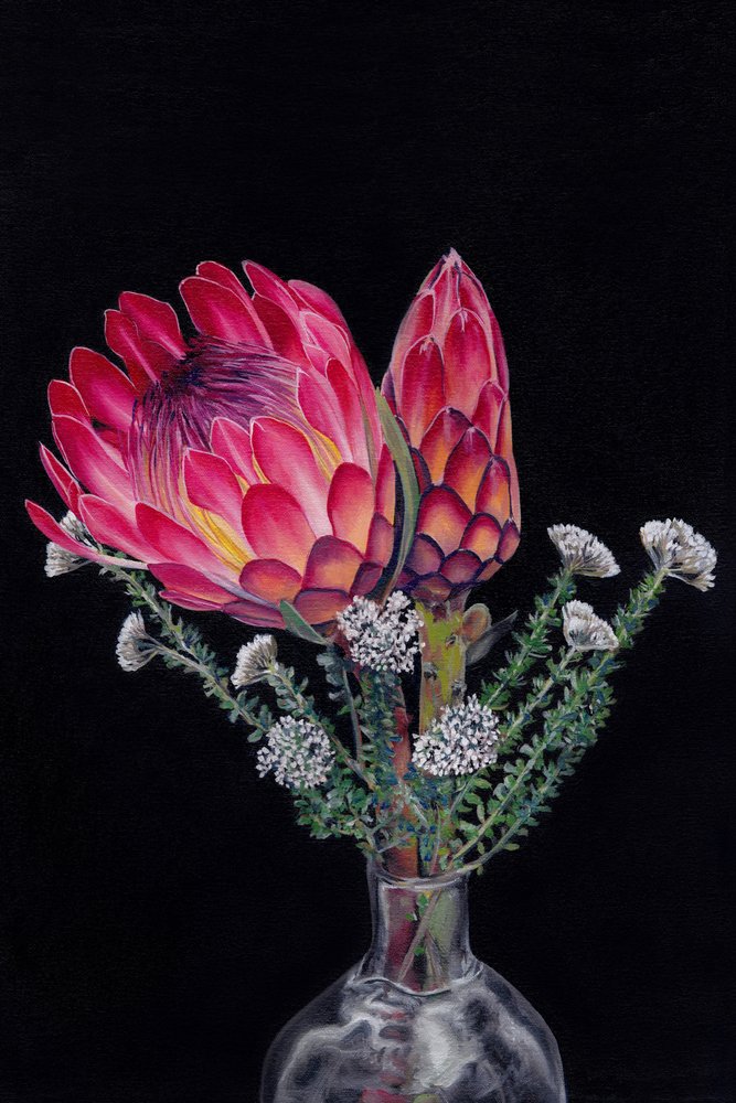 Lebendige Protea-Blüten von Viccy Wanliss