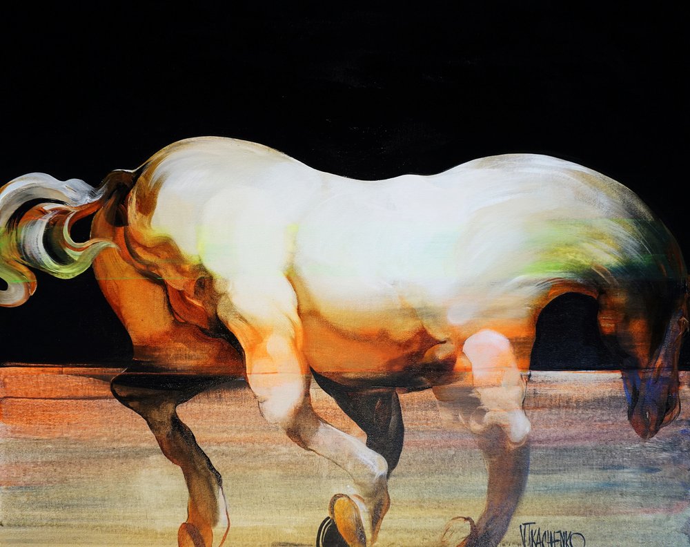 Ausdrucksstarkes weißes Pferd von Victor Tkachenko