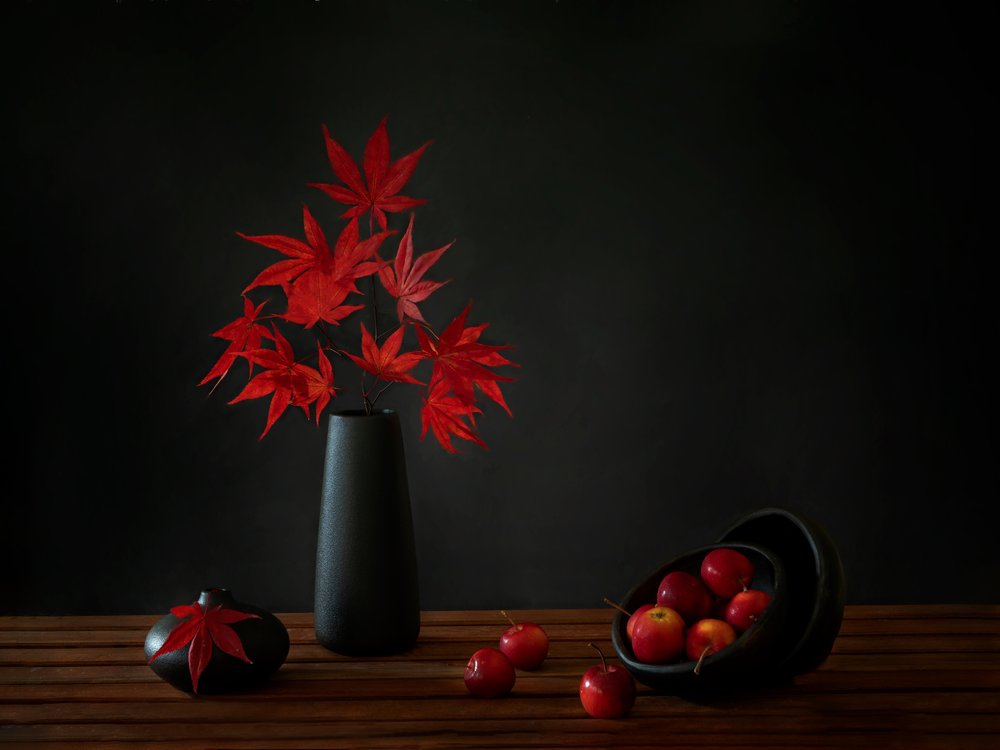 Roter Ahorn Stillleben von Wendy Xu
