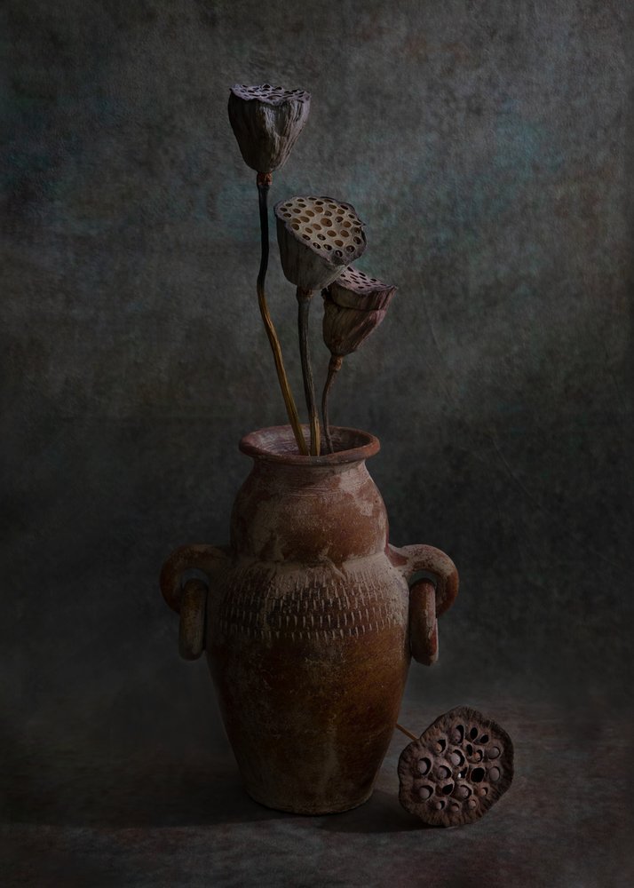 Rustikales Lotus-Stillleben von Wendy Xu