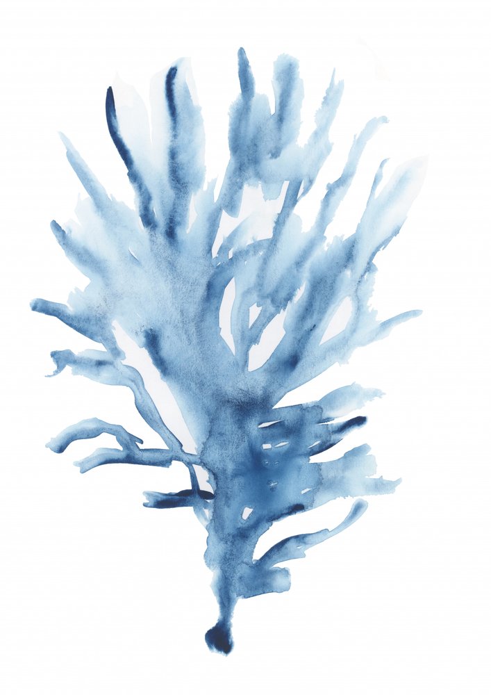 Abstrakte blaue Koralle von cartissi