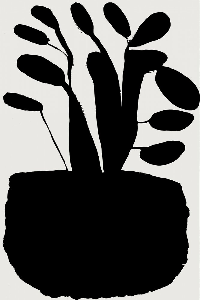 Schwarze botanische Silhouette von cartissi