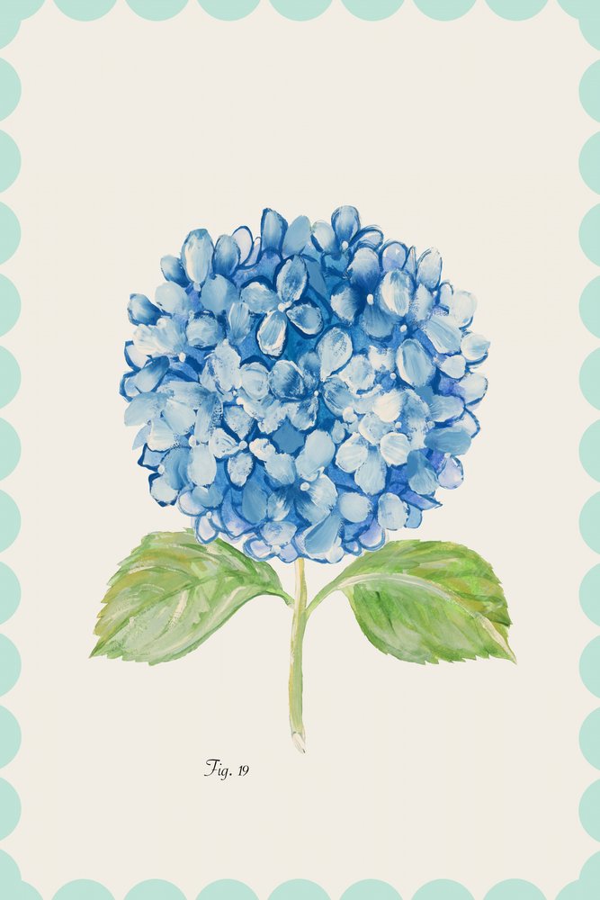 Blaue Hortensien-Illustration von cartissi