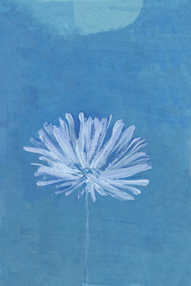 Blaue Mondblume von cartissi