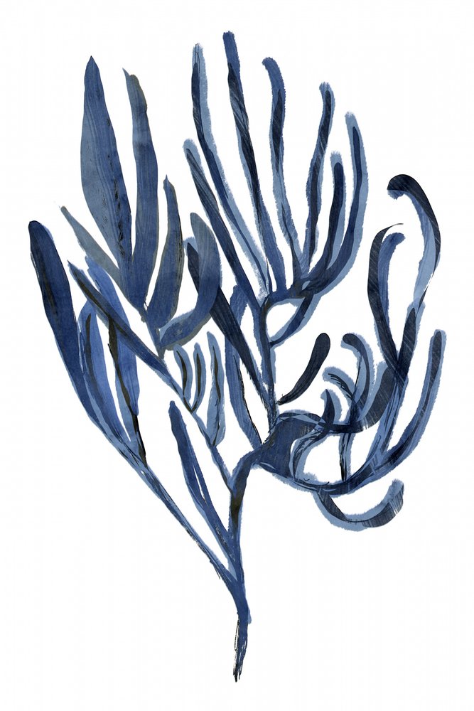 Tiefblaue Meeresflora von cartissi