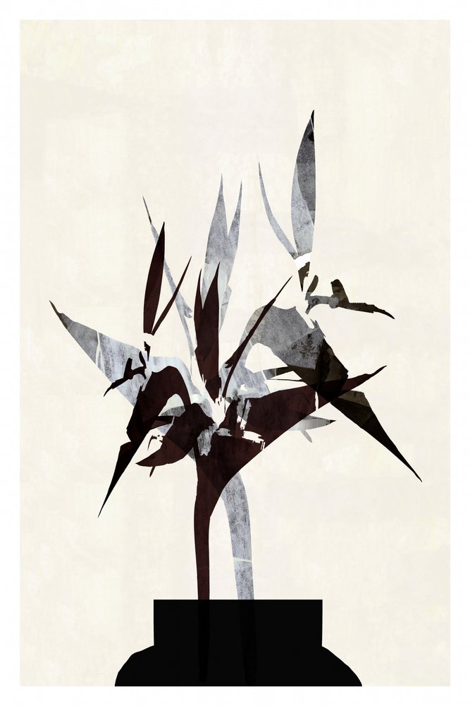 Moderne botanische Stillleben von cartissi