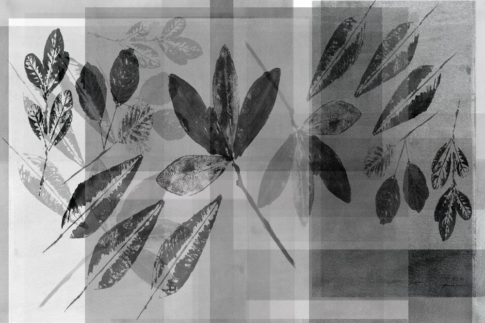Monochrome botanische Schichten von cartissi
