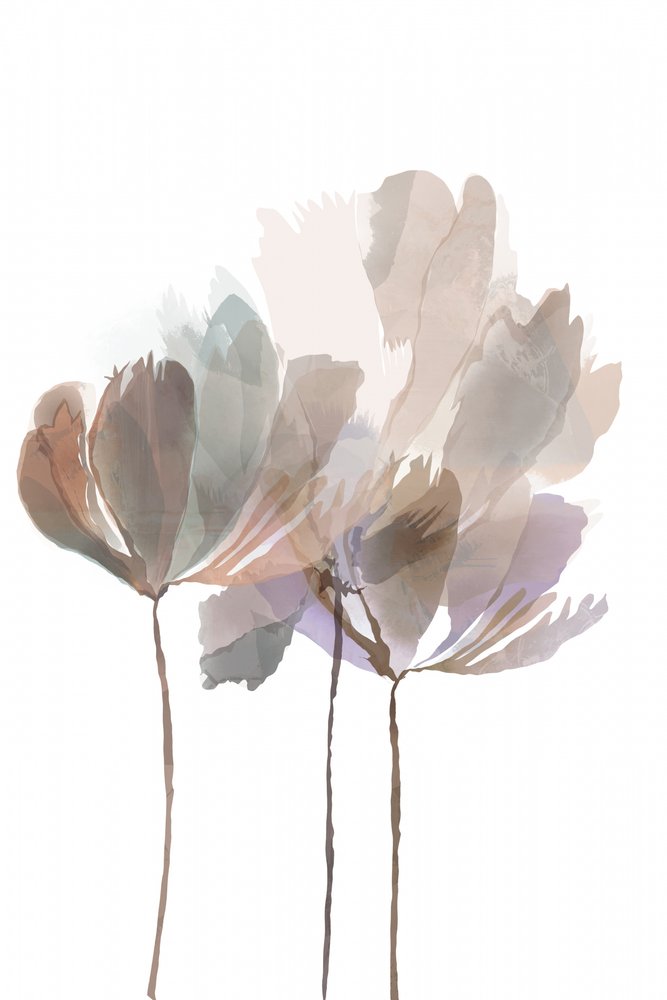 Weiche Aquarellblüten von cartissi
