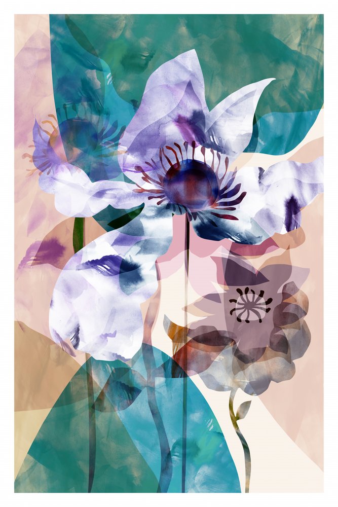 Transluzente Blumenanemonen von cartissi
