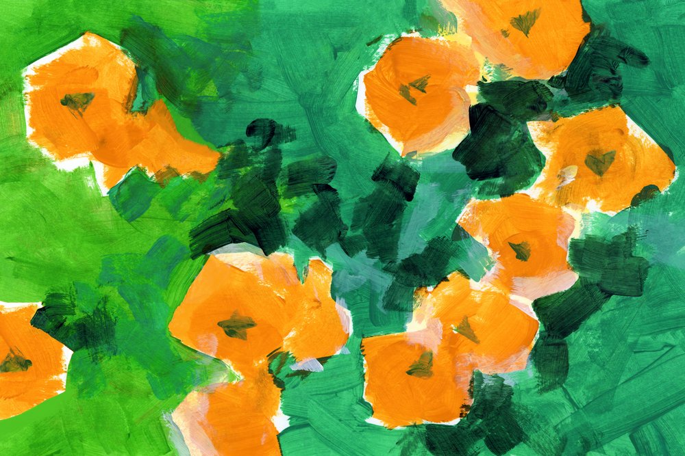 Lebendige orangefarbene Blüten von cartissi