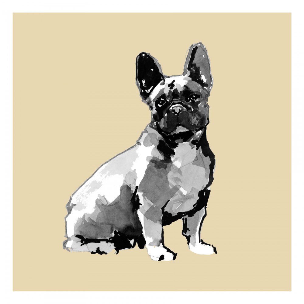 Aquarell Französische Bulldogge von cartissi