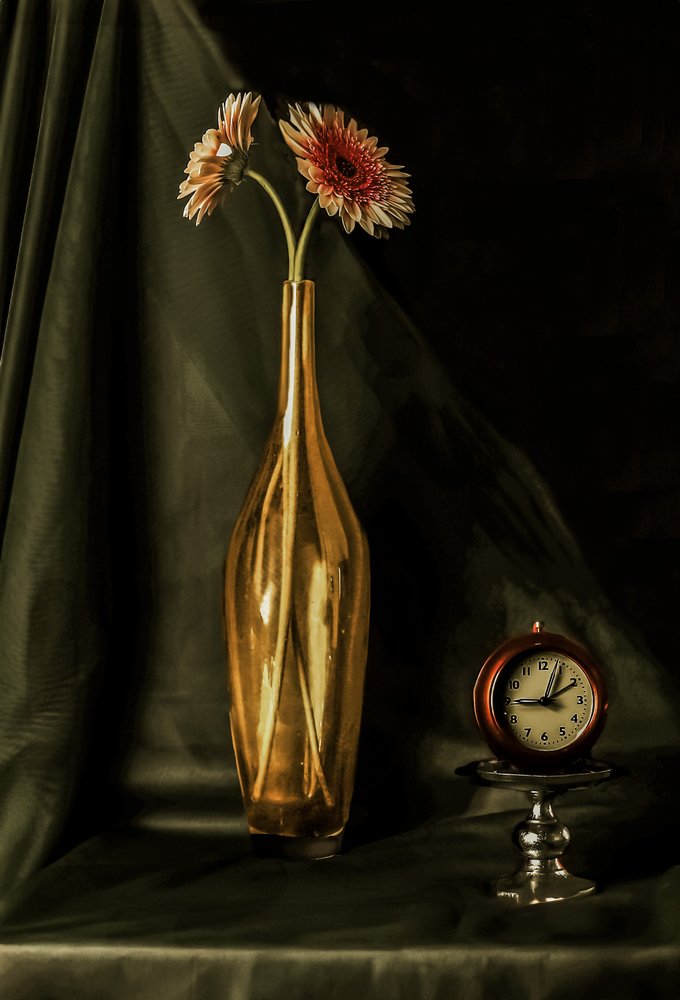 Goldenes Gerbera-Stillleben von jlloydphoto
