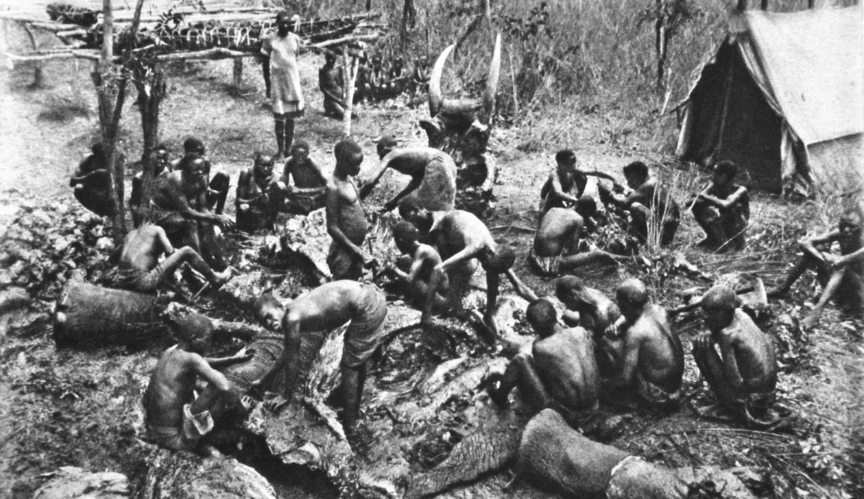Für Fleischrationen für unsere rhodesischen einheimischen Truppen getötet, Illustration aus The Illustrated War News, September 1916 von English Photographer