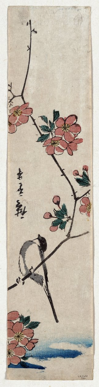 Kaido ni Shokin (Kleiner Vogel auf einem Ast von Kaidozakura) von Utagawa Hiroshige